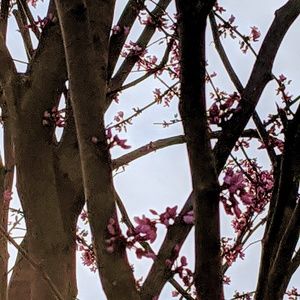 Meet your Posher, Annie